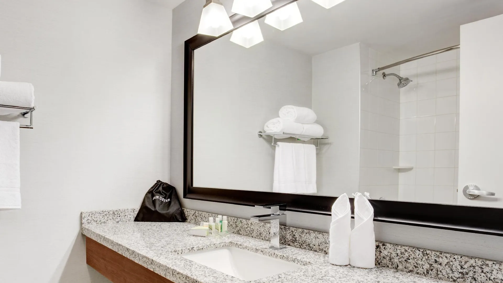 Hotel Holiday Inn Ottawa East By Ihg