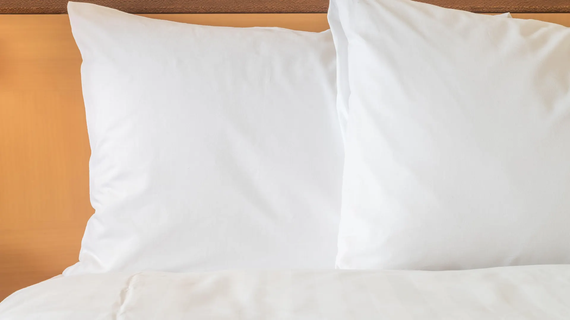 Hotel Holiday Inn Ottawa East By Ihg